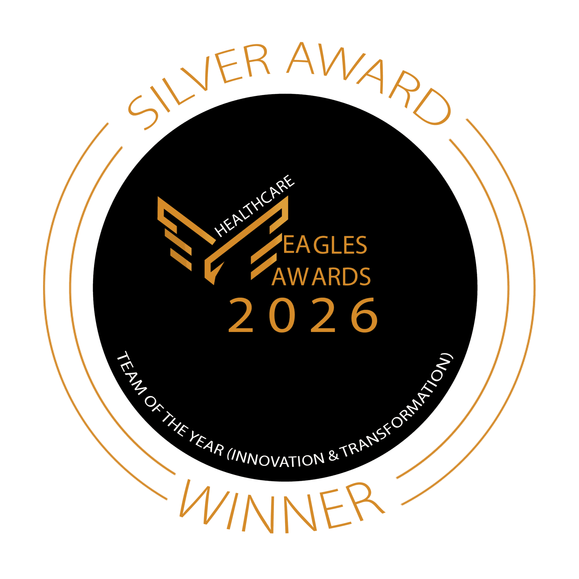Team-of-the-Year-Innovation-Transformation-Silver-scaled-1.png